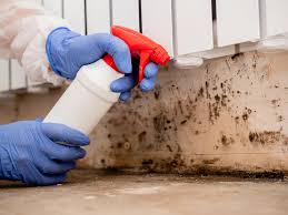 Trusted Bernalillo, NM Mold Removal Services Experts